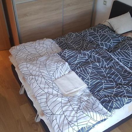 Apartman Mir Apartment Златибор Екстериор снимка